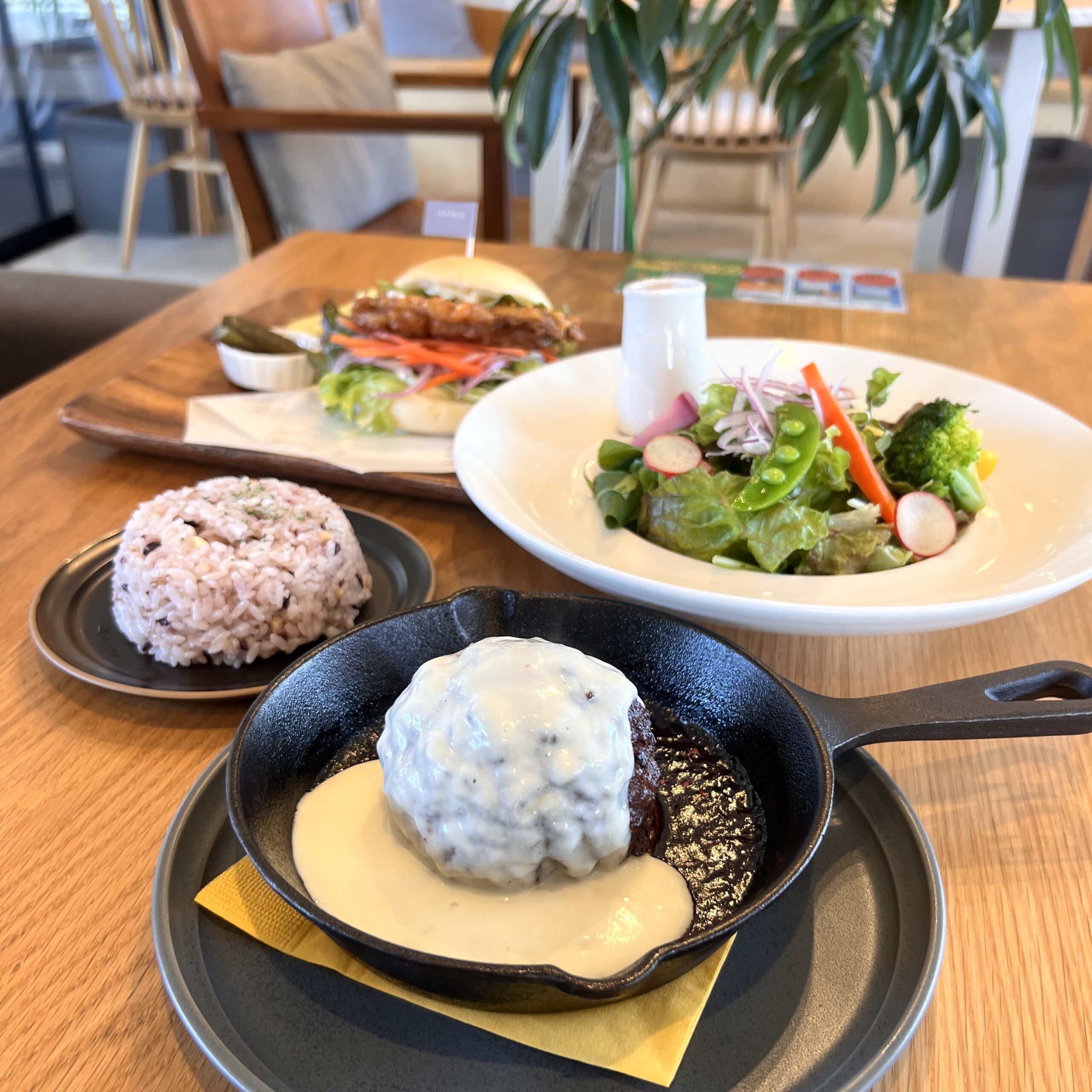 大垣市 ハリスコート ランチ