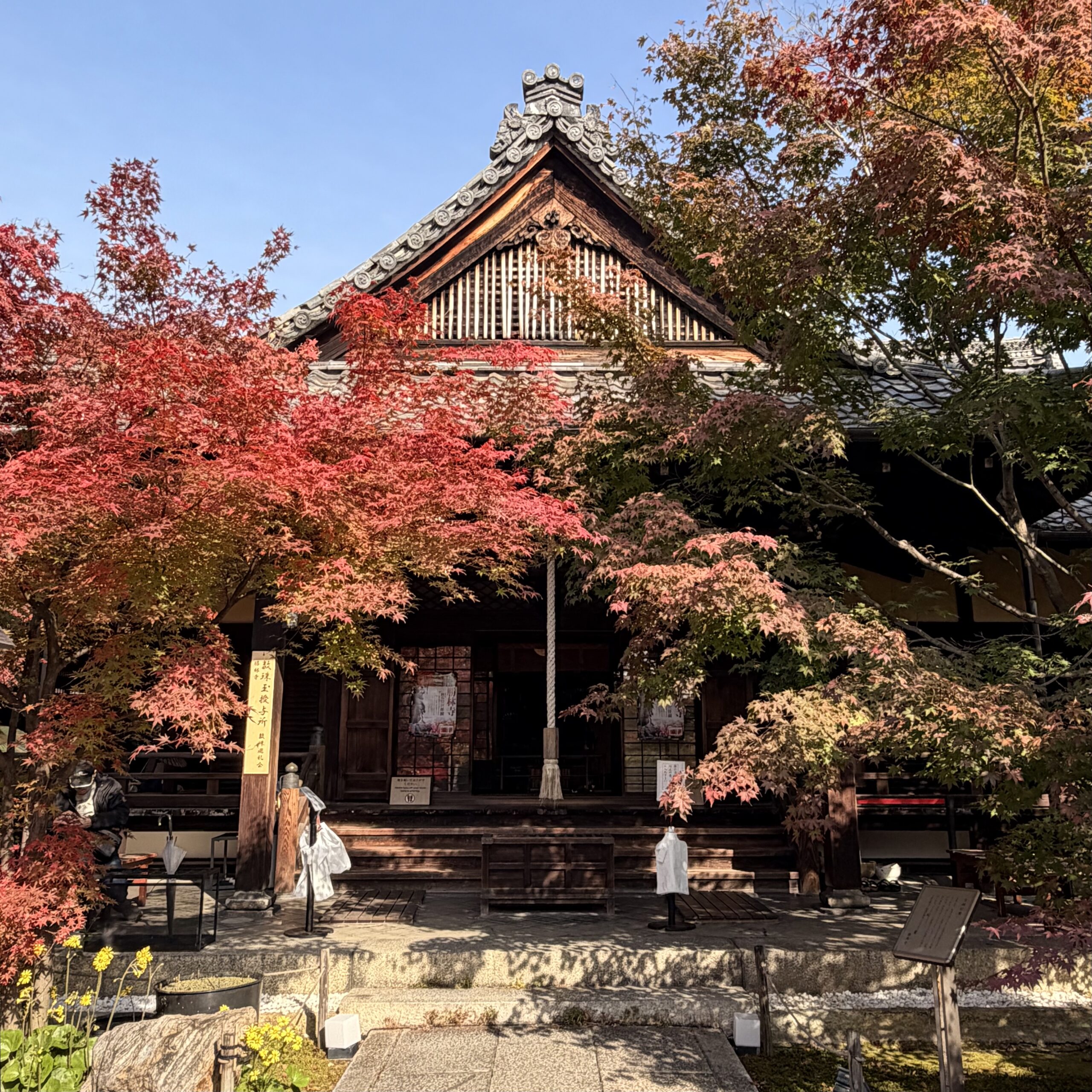 京都市 勝林寺（しょうりんじ） 秋の特別拝観 紅葉