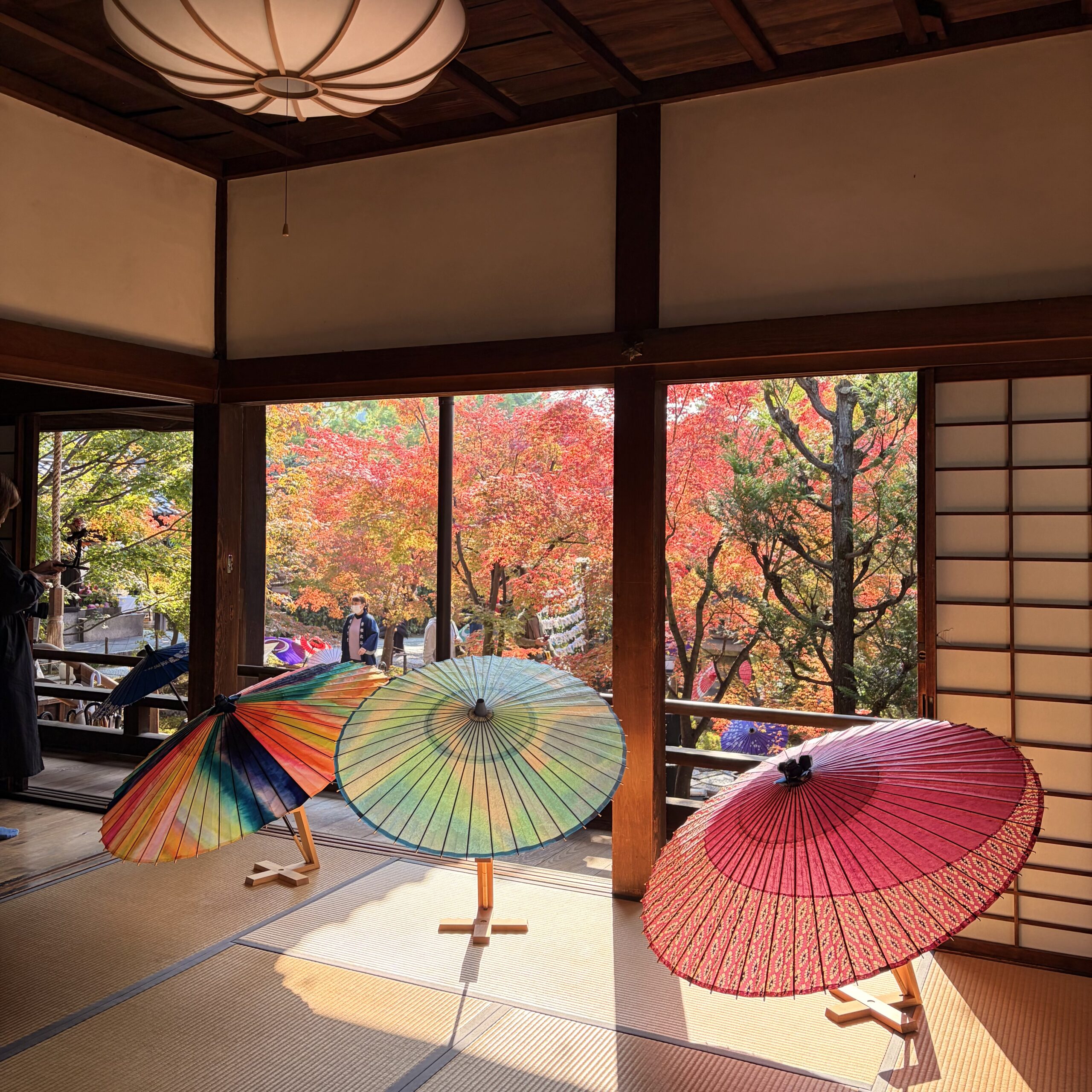 京都市 勝林寺（しょうりんじ） 秋の特別拝観 紅葉