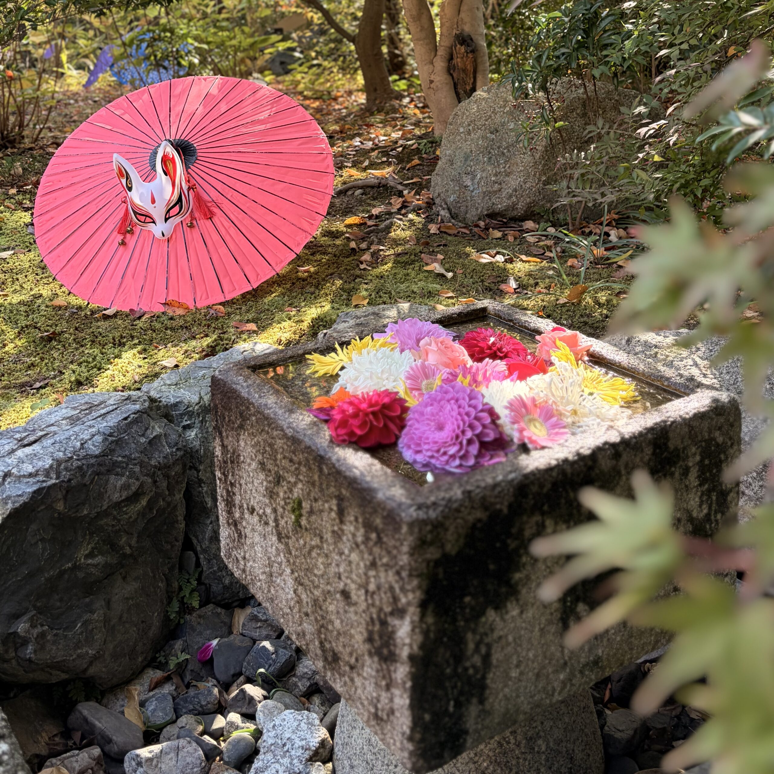 京都市 勝林寺（しょうりんじ） 花手水 秋の特別拝観 