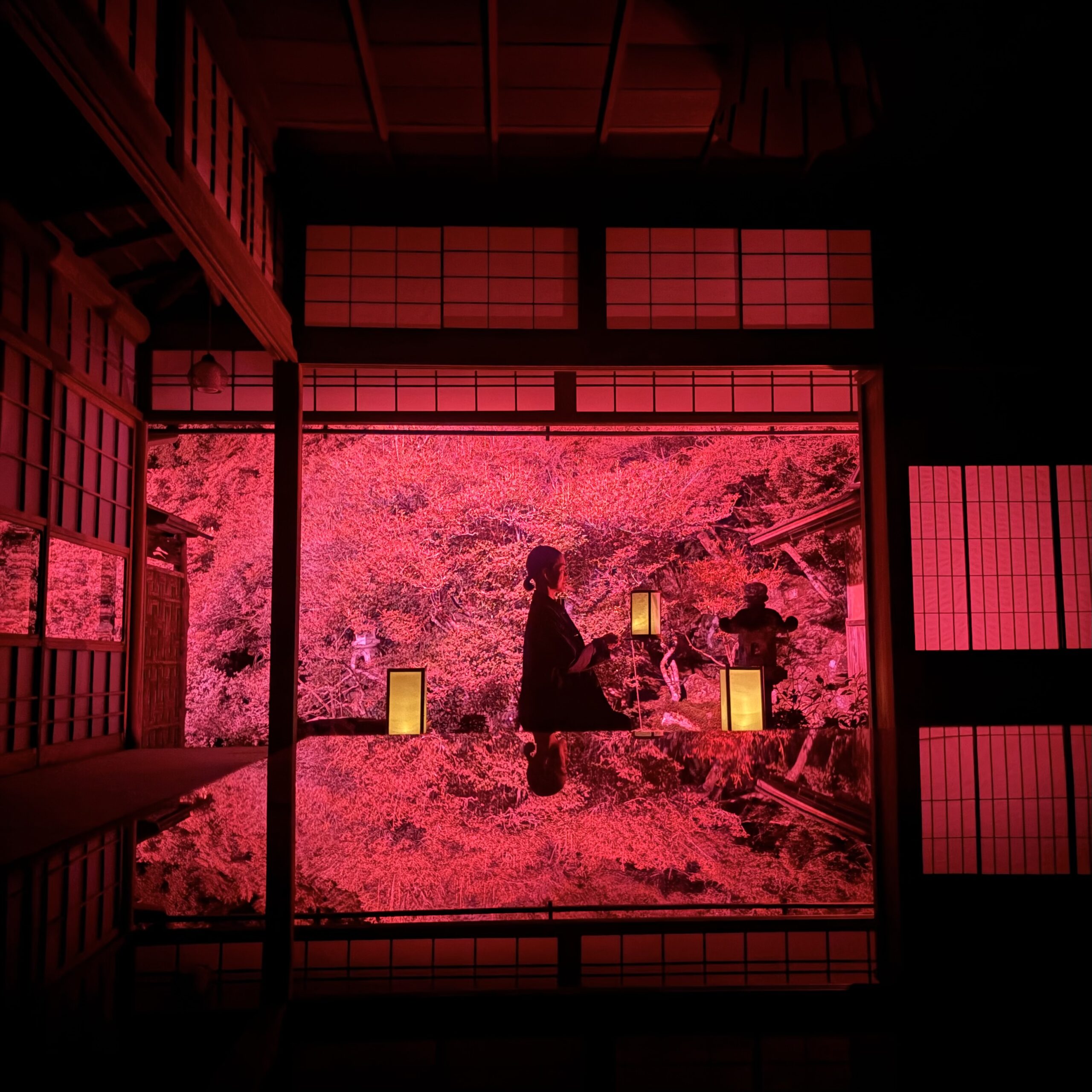 山県市 東光寺 紅葉 秋の特別拝観 ライトアップ 2026
