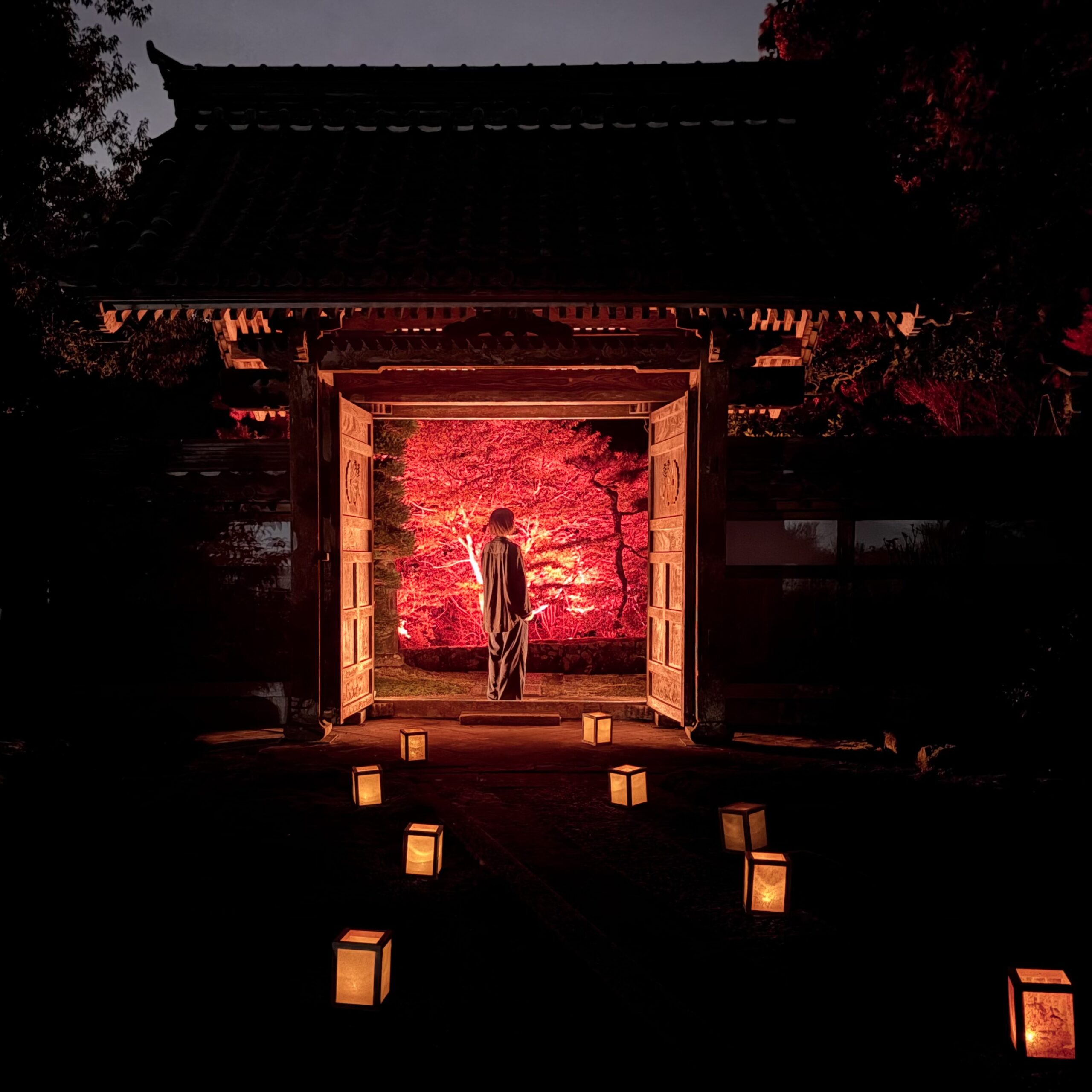 山県市 東光寺 紅葉 秋の特別拝観 ライトアップ 2026