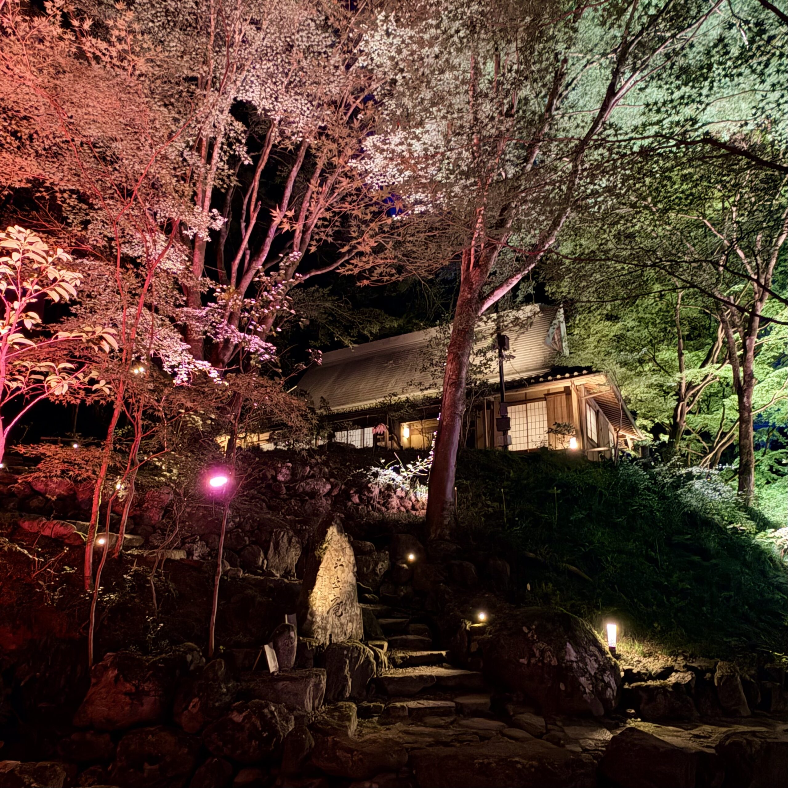 荒川豊蔵記念館 緋色の森 紅葉ライトアップ 可児市