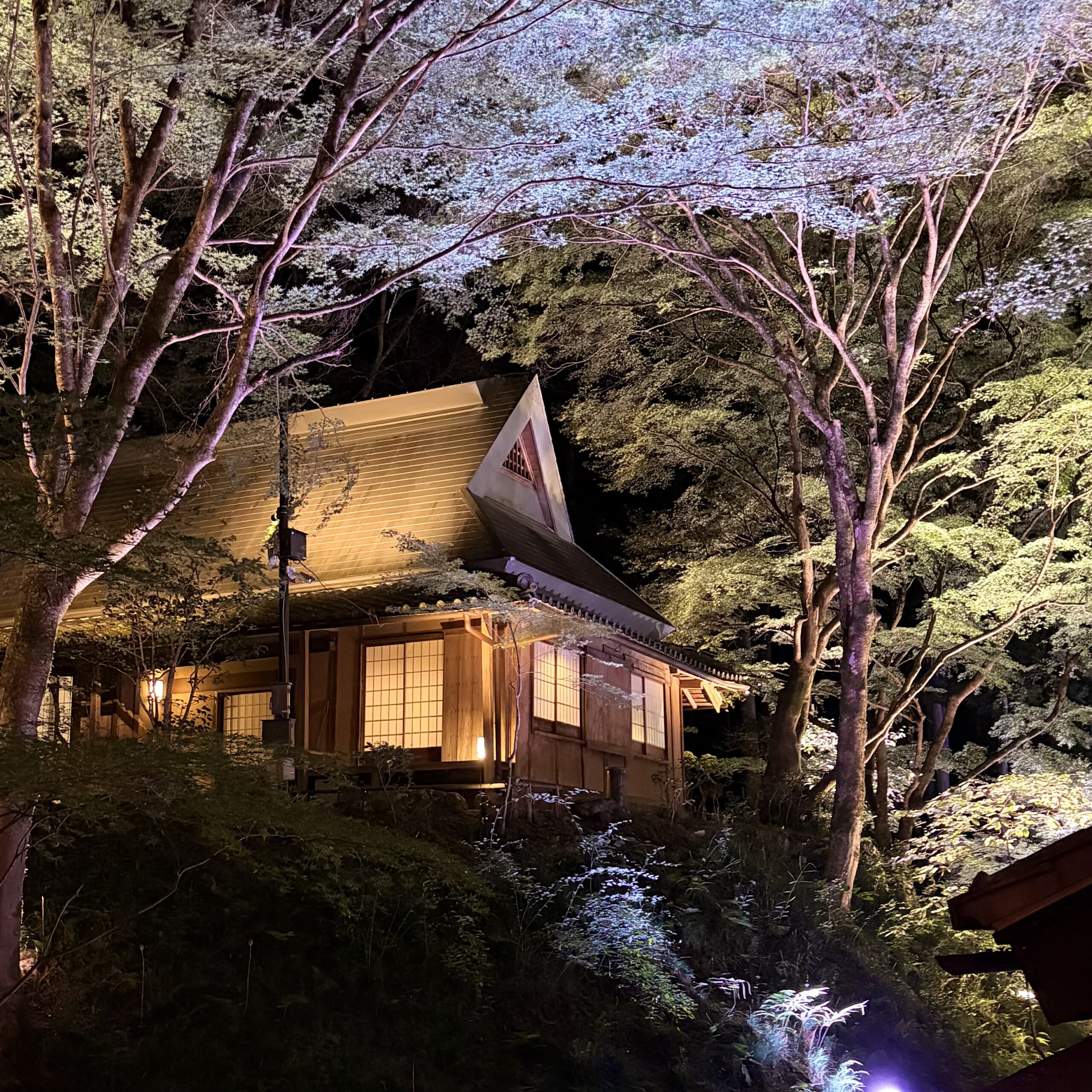 荒川豊蔵記念館 緋色の森 紅葉ライトアップ 可児市