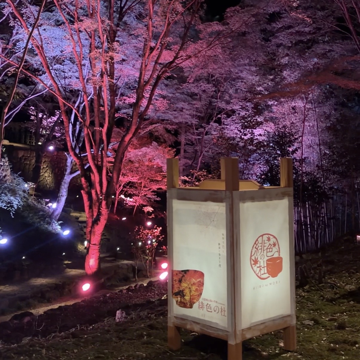 荒川豊蔵記念館 緋色の森 紅葉ライトアップ 可児市