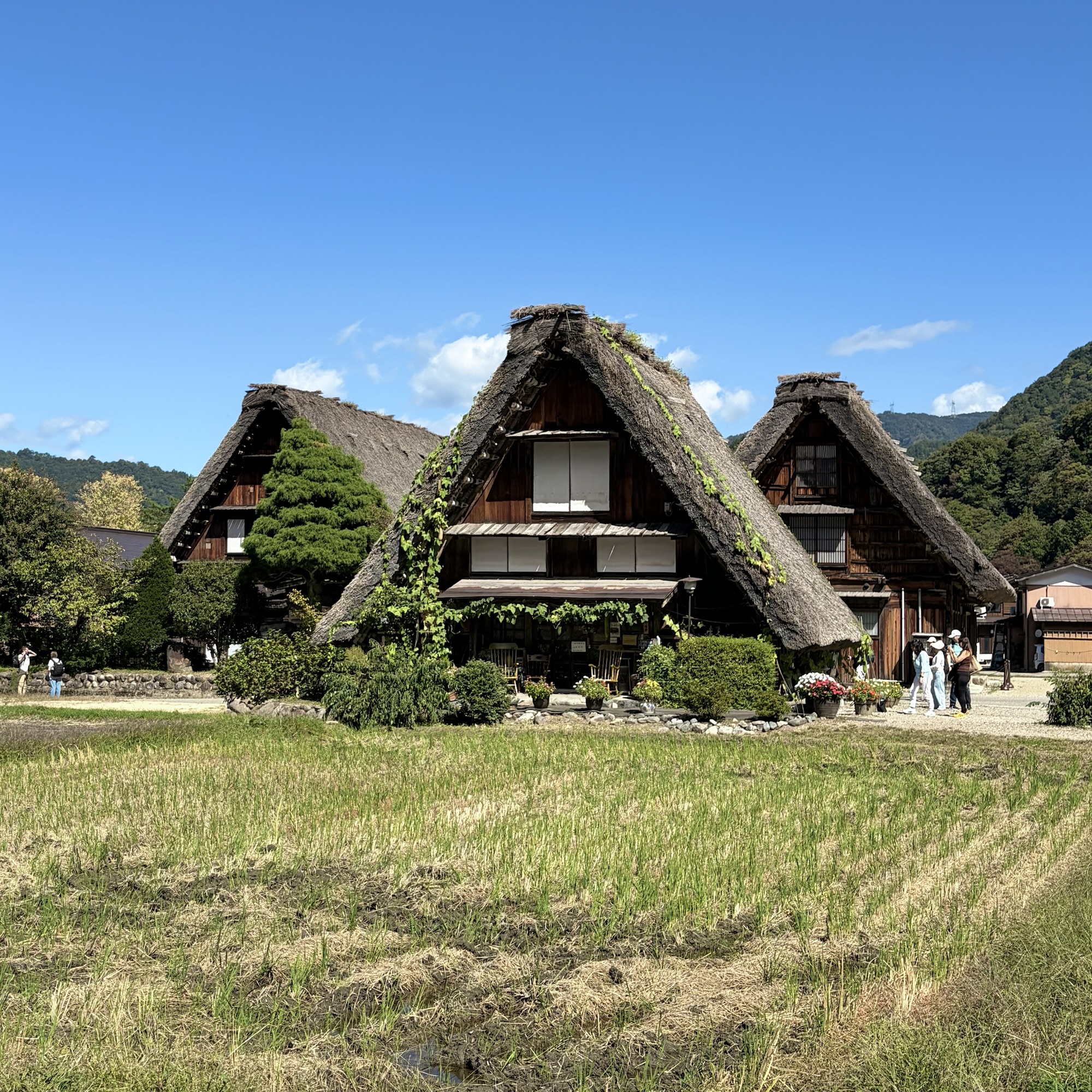 白川郷 岐阜観光 岐阜県大野郡白川村